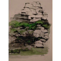 258sk_entrance_to_caves